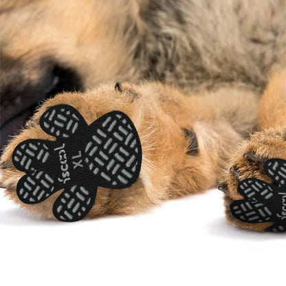 Anti-Slip Paw Grips